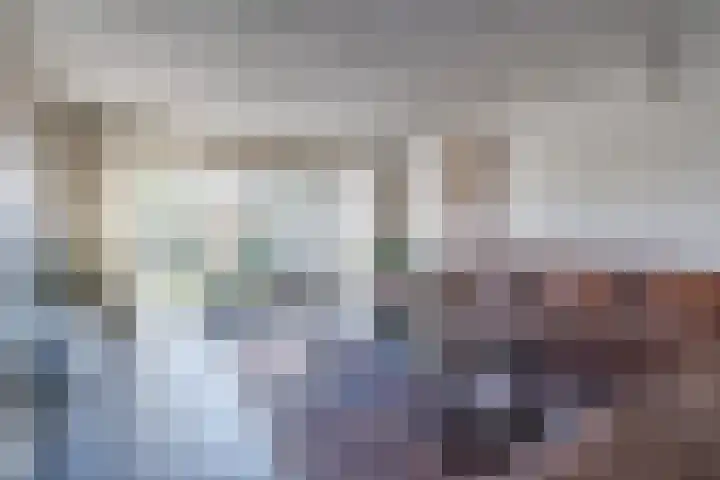 Sparrelaar 3 Veghel thumbnail 15
