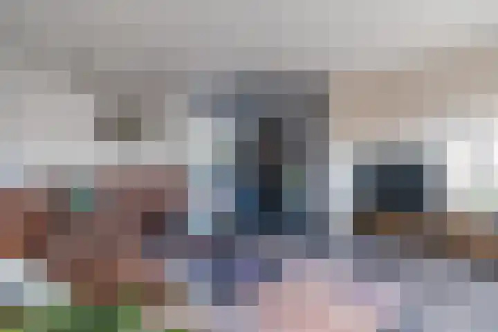 Sparrelaar 3 Veghel thumbnail 18