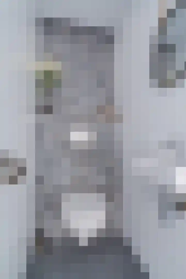 Sparrelaar 3 Veghel thumbnail 20