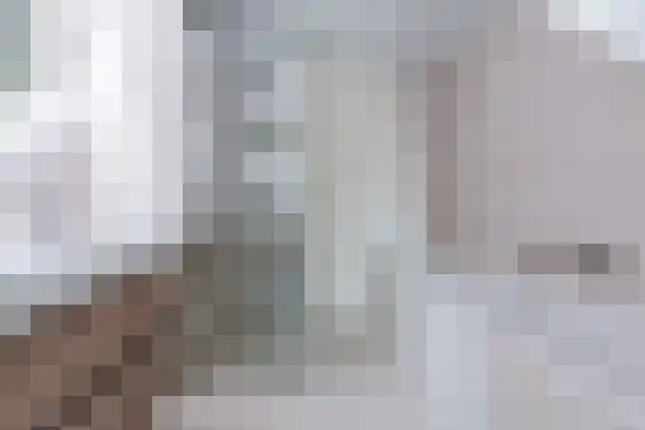 Sparrelaar 3 Veghel thumbnail 21