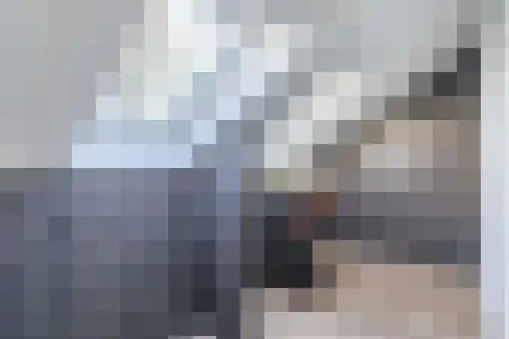 Sparrelaar 3 Veghel thumbnail 31