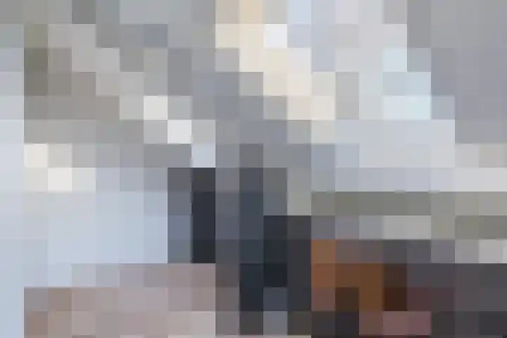 Sparrelaar 3 Veghel thumbnail 32