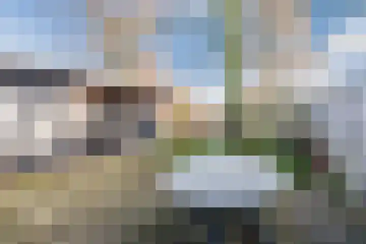 Sparrelaar 3 Veghel thumbnail 33
