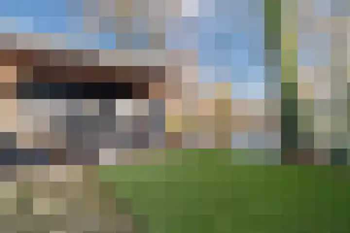 Sparrelaar 3 Veghel thumbnail 34