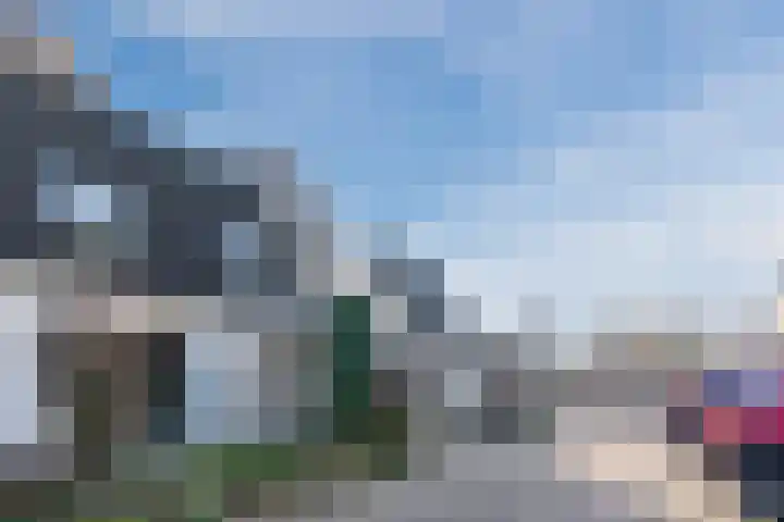 Sparrelaar 3 Veghel thumbnail 6