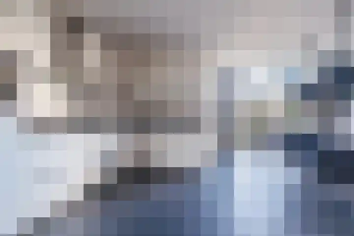 Sparrelaar 3 Veghel thumbnail 8
