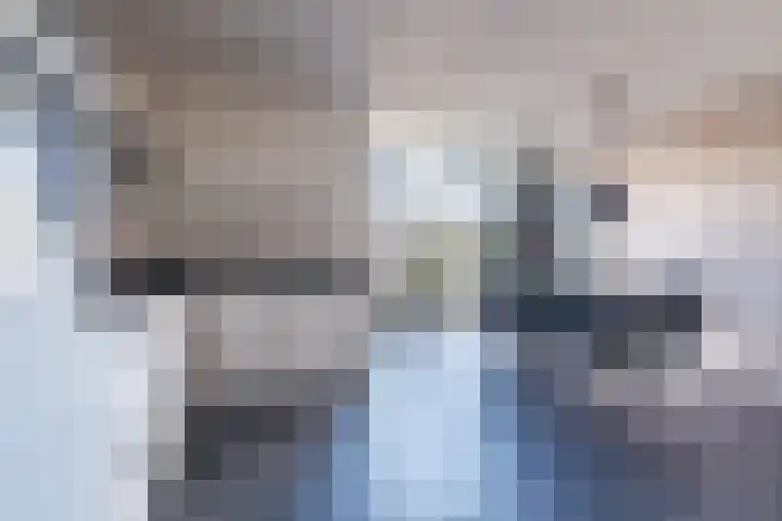 Sparrelaar 3 Veghel thumbnail 9