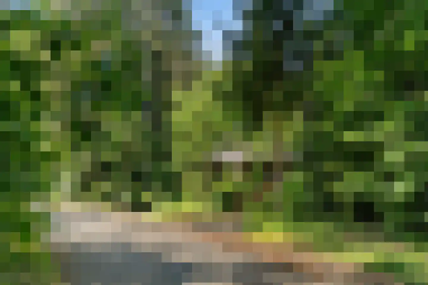 Sparrenbos 1 Wageningen thumbnail 12