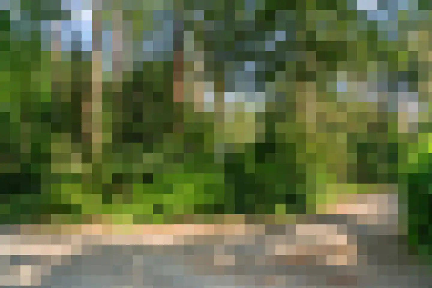 Sparrenbos 1 Wageningen thumbnail 13