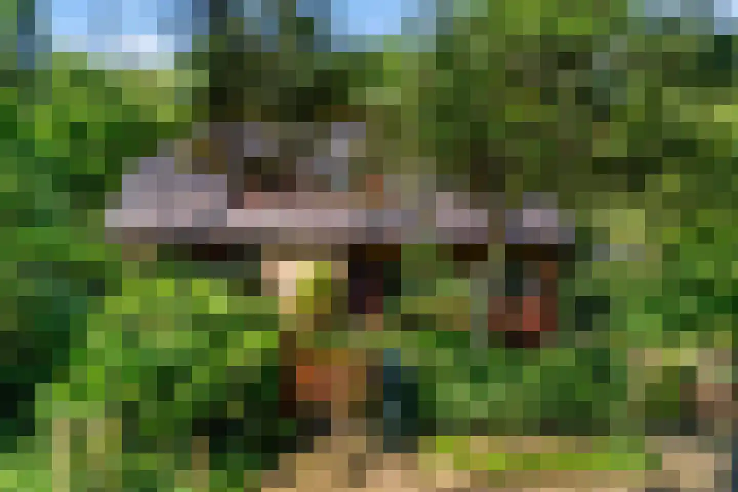 Sparrenbos 1 Wageningen thumbnail 15