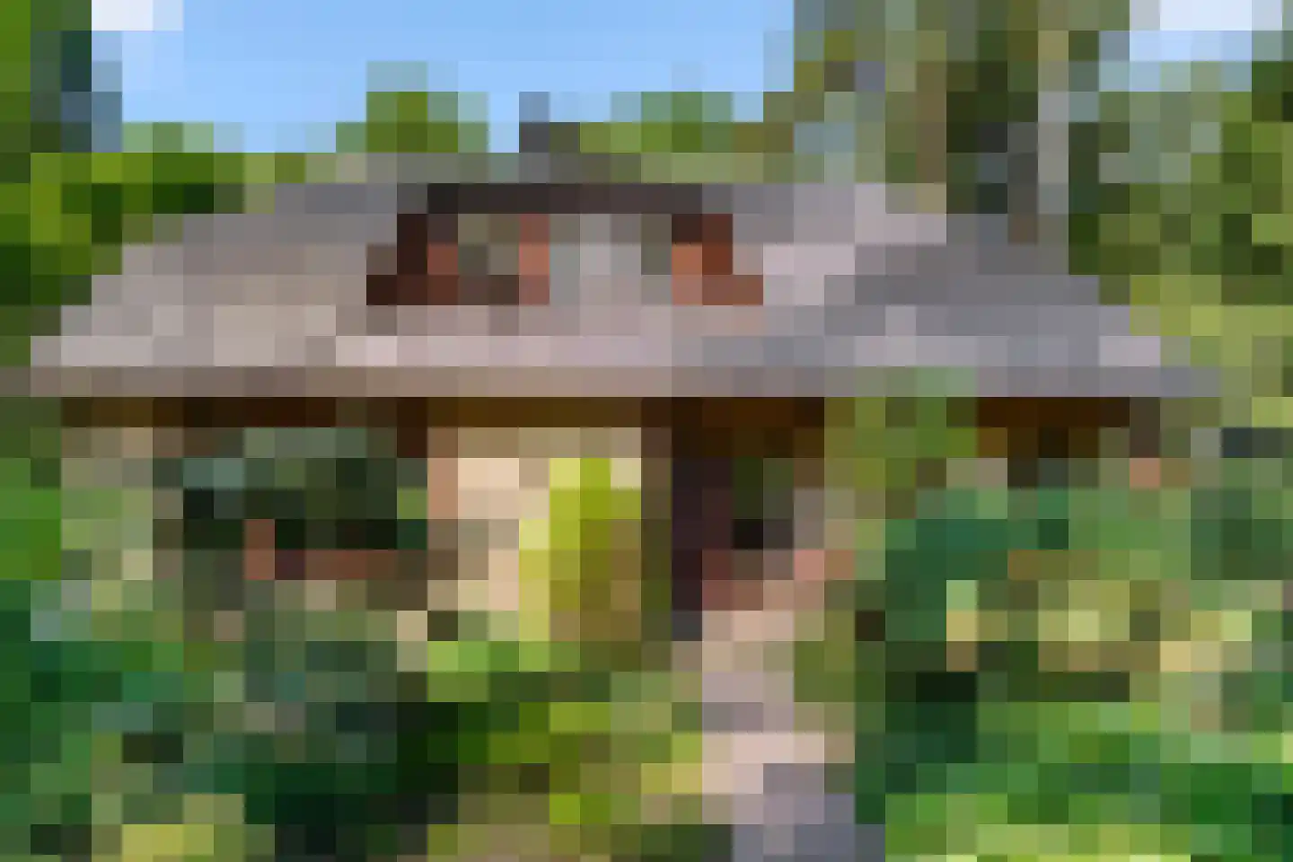 Sparrenbos 1 Wageningen thumbnail 16