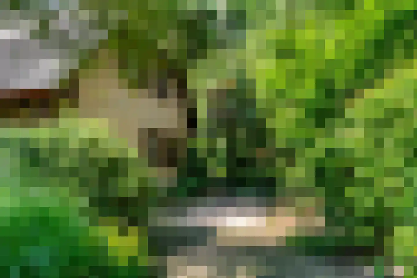 Sparrenbos 1 Wageningen thumbnail 17