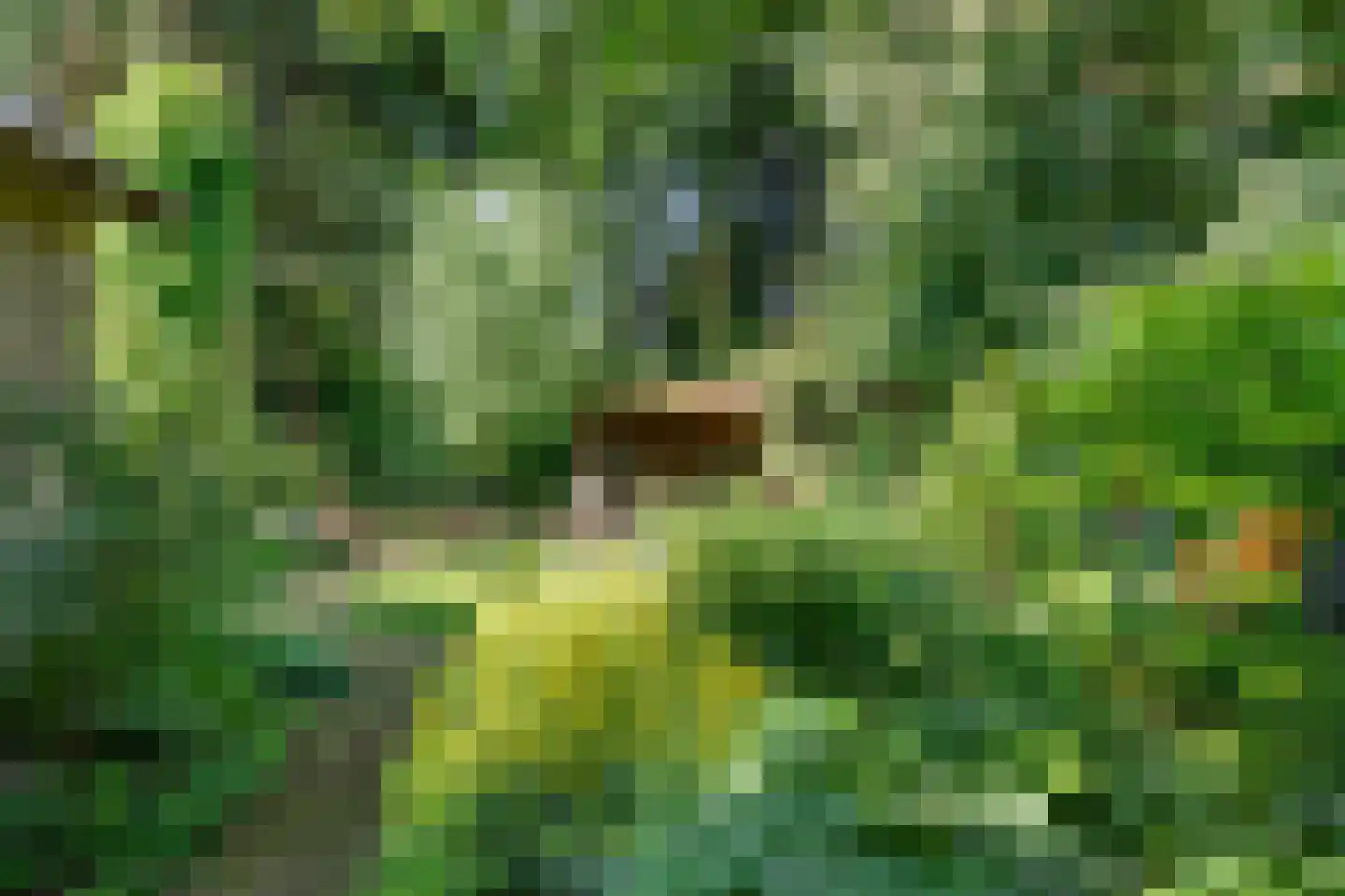 Sparrenbos 1 Wageningen thumbnail 18