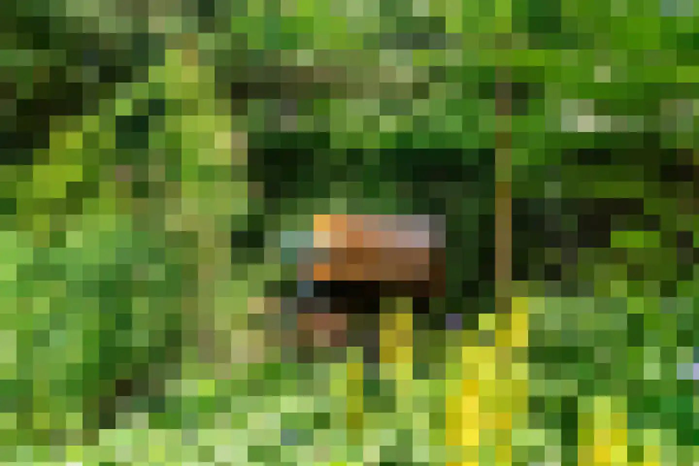 Sparrenbos 1 Wageningen thumbnail 19