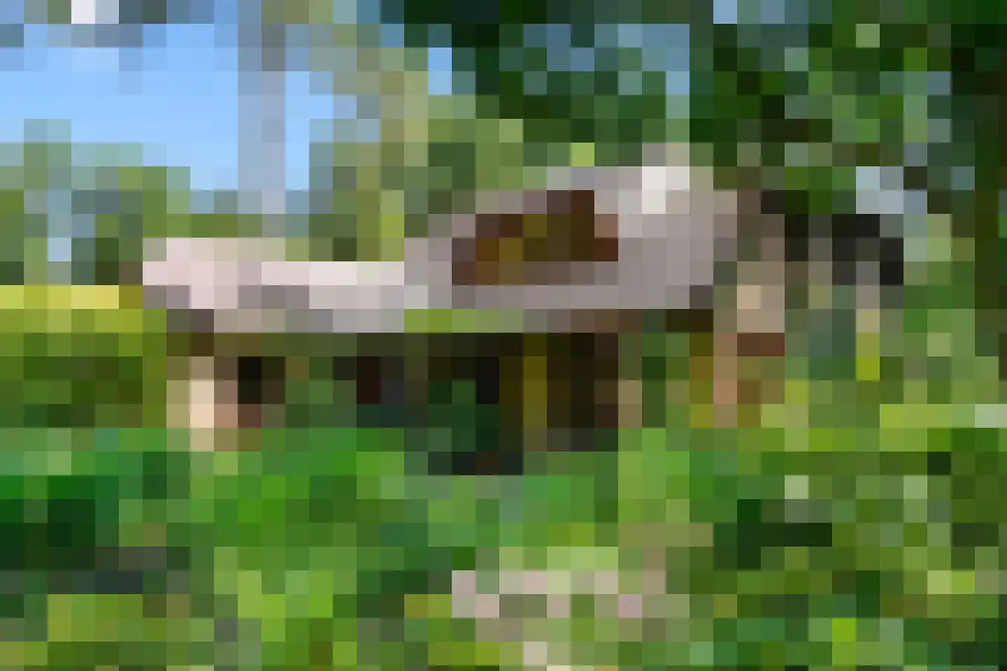 Sparrenbos 1 Wageningen thumbnail 20