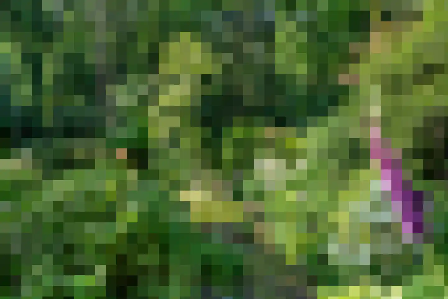 Sparrenbos 1 Wageningen thumbnail 24
