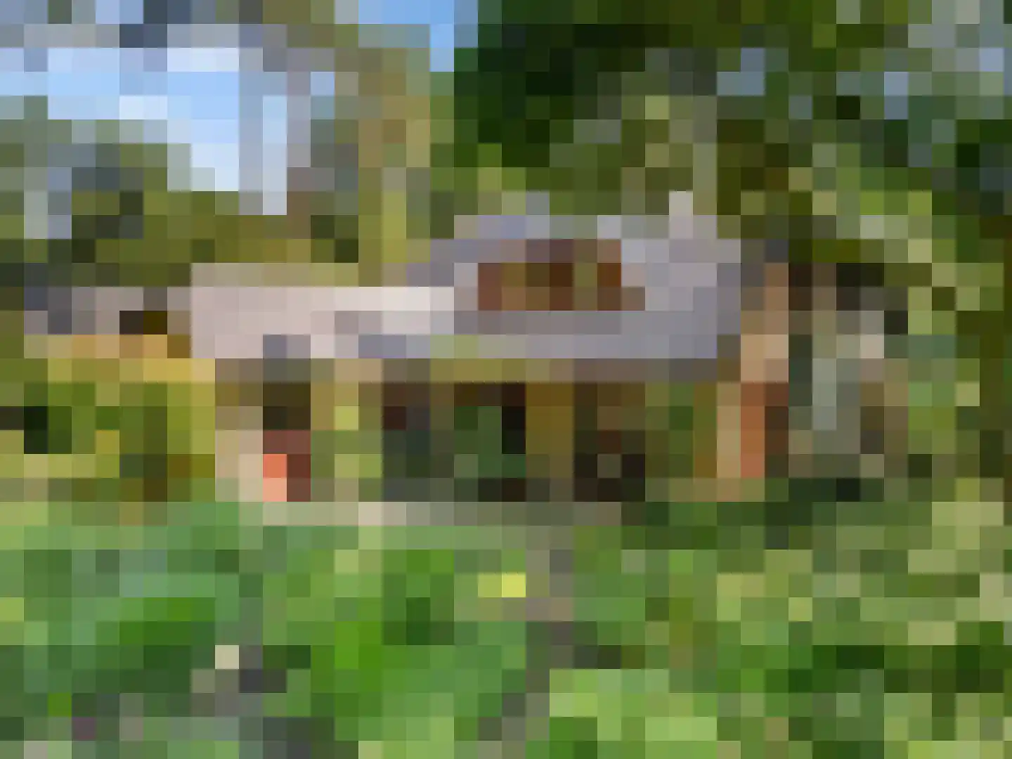 Sparrenbos 1 Wageningen thumbnail 26