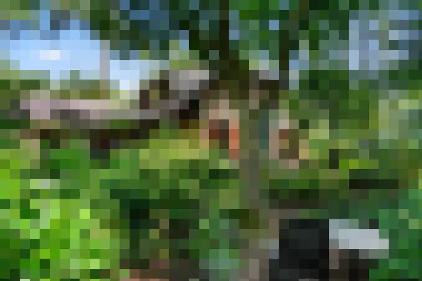 Sparrenbos 1 Wageningen thumbnail 27