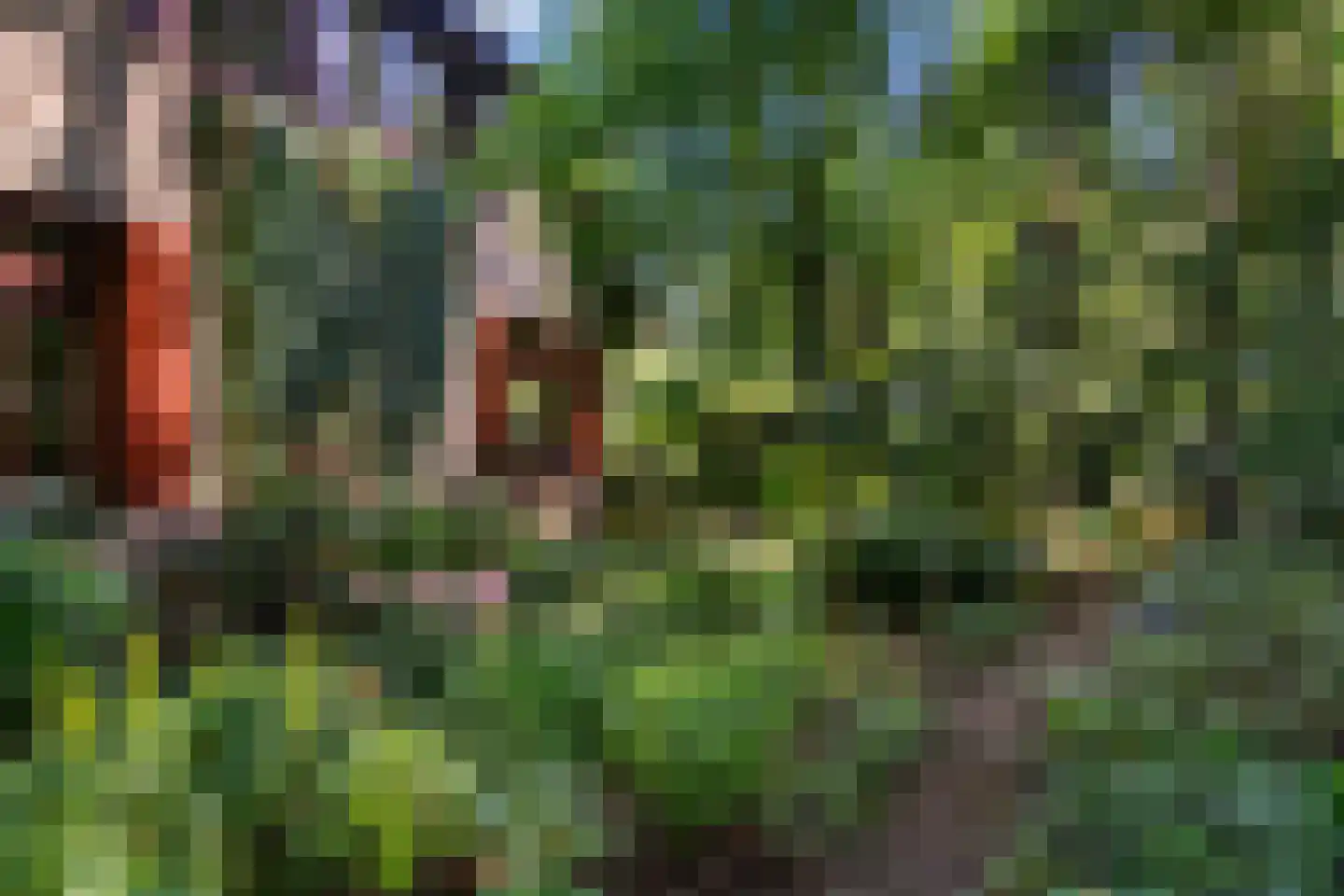 Sparrenbos 1 Wageningen thumbnail 28