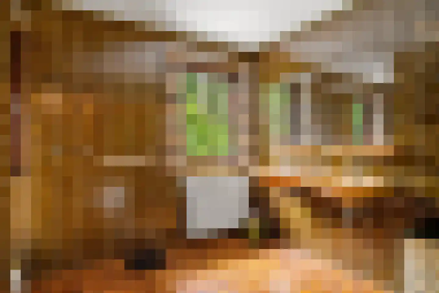 Sparrenbos 1 Wageningen thumbnail 56