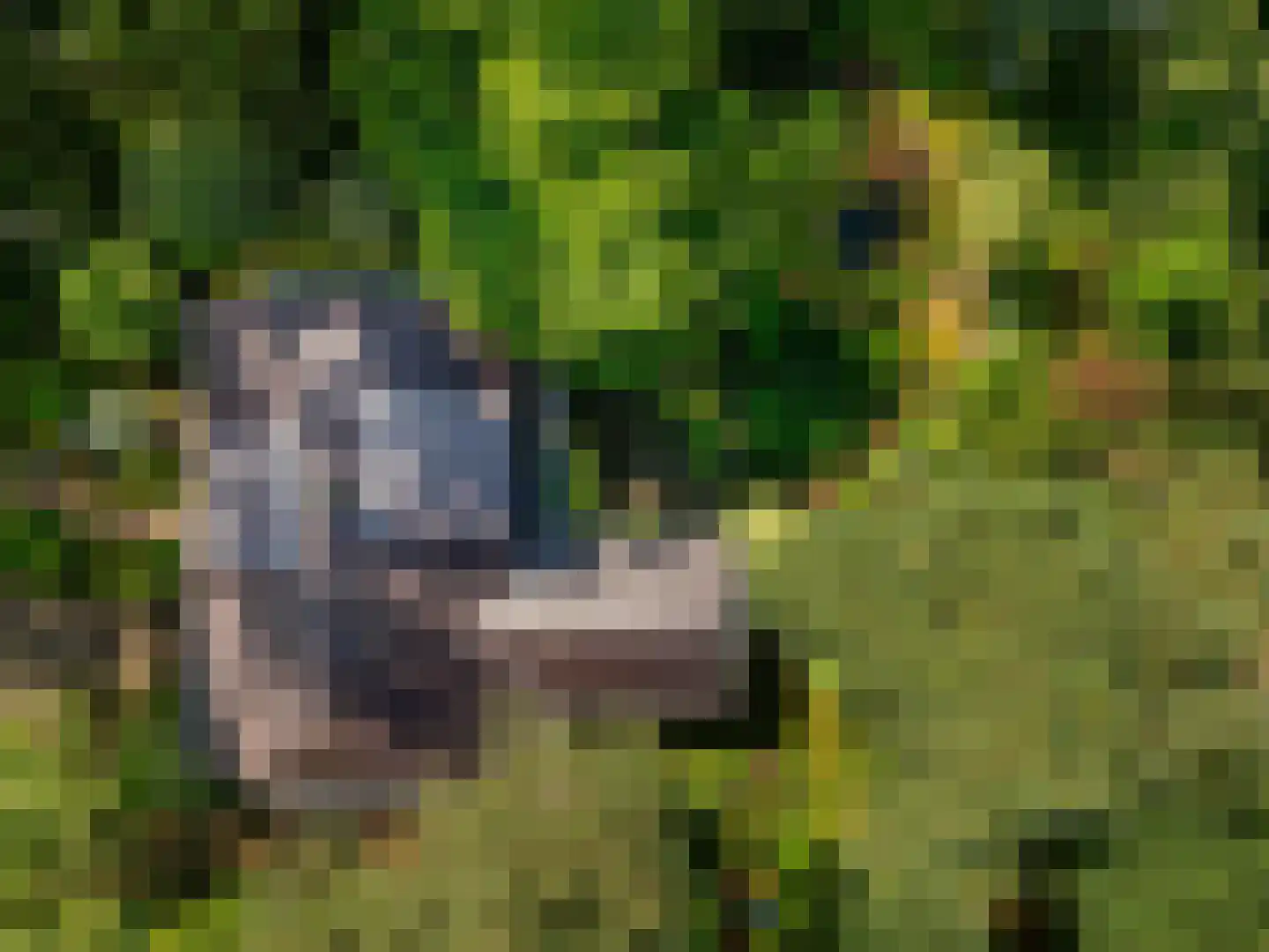 Sparrenbos 1 Wageningen thumbnail 7