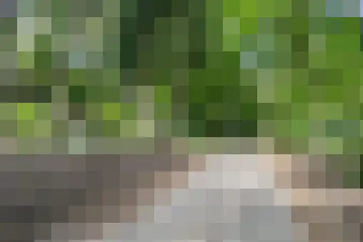 Sparrenbos 9 Wageningen thumbnail 10