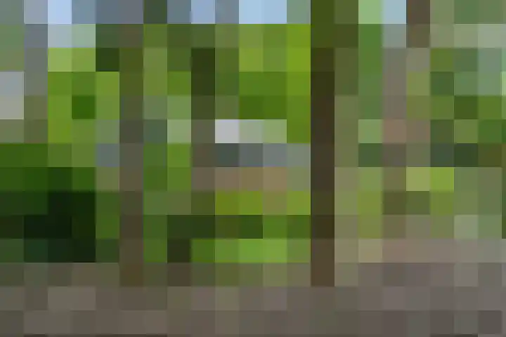 Sparrenbos 9 Wageningen thumbnail 11