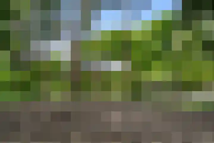 Sparrenbos 9 Wageningen thumbnail 12