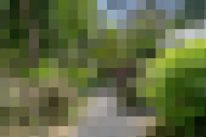 Sparrenbos 9 Wageningen thumbnail 13