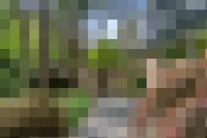 Sparrenbos 9 Wageningen thumbnail 14