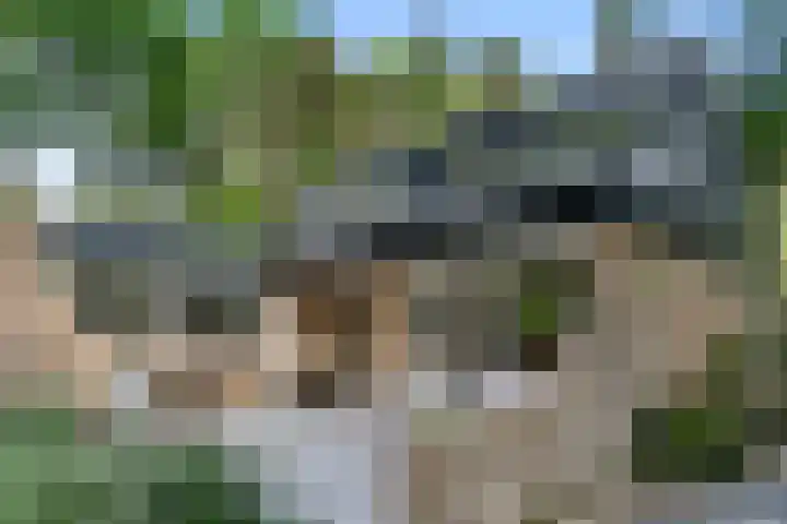 Sparrenbos 9 Wageningen thumbnail 15