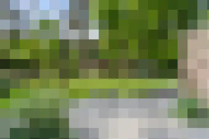 Sparrenbos 9 Wageningen thumbnail 16