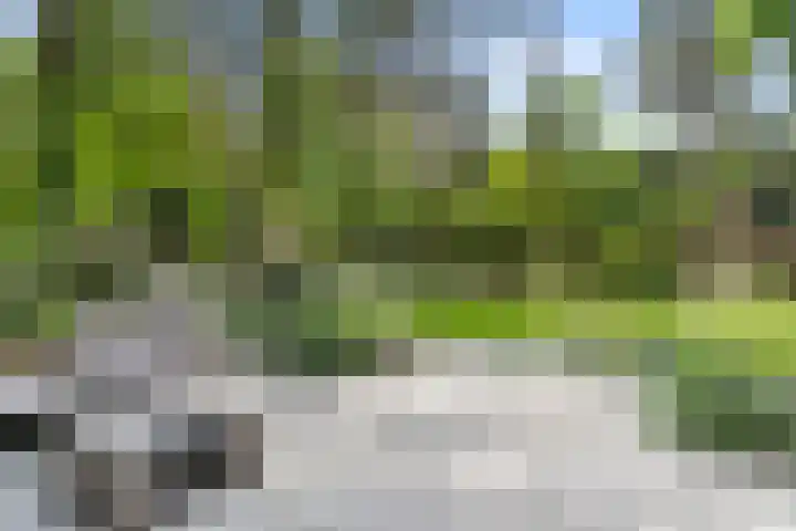Sparrenbos 9 Wageningen thumbnail 17