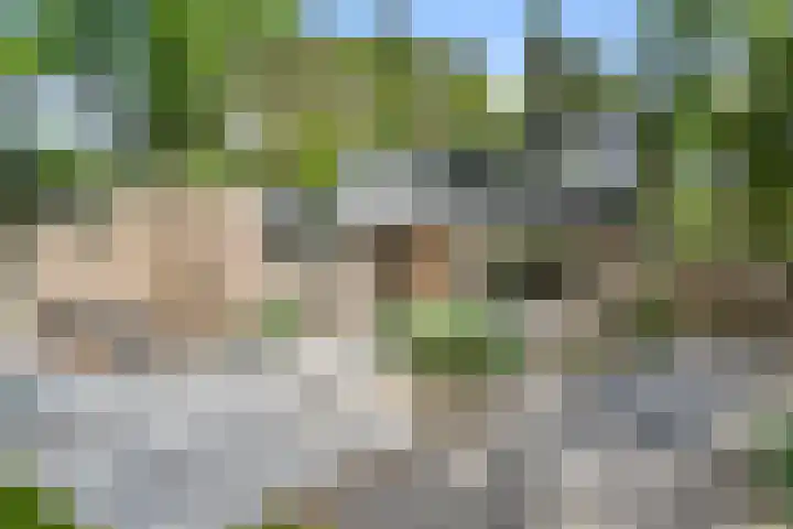 Sparrenbos 9 Wageningen thumbnail 18