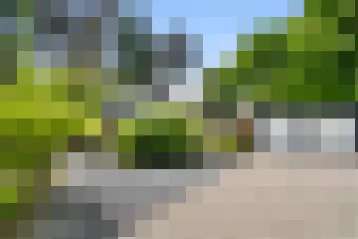 Sparrenbos 9 Wageningen foto 2