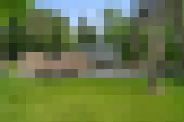 Sparrenbos 9 Wageningen thumbnail 20