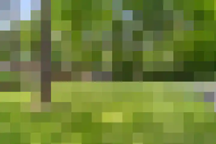 Sparrenbos 9 Wageningen thumbnail 21
