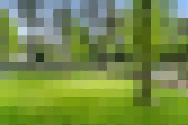 Sparrenbos 9 Wageningen thumbnail 22