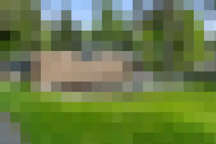 Sparrenbos 9 Wageningen thumbnail 23