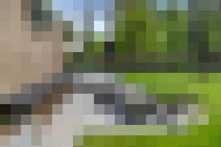Sparrenbos 9 Wageningen thumbnail 24