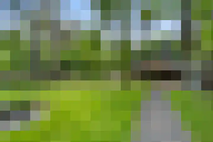 Sparrenbos 9 Wageningen thumbnail 25