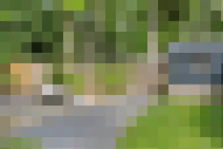 Sparrenbos 9 Wageningen thumbnail 26