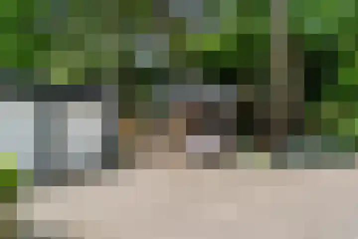 Sparrenbos 9 Wageningen thumbnail 27