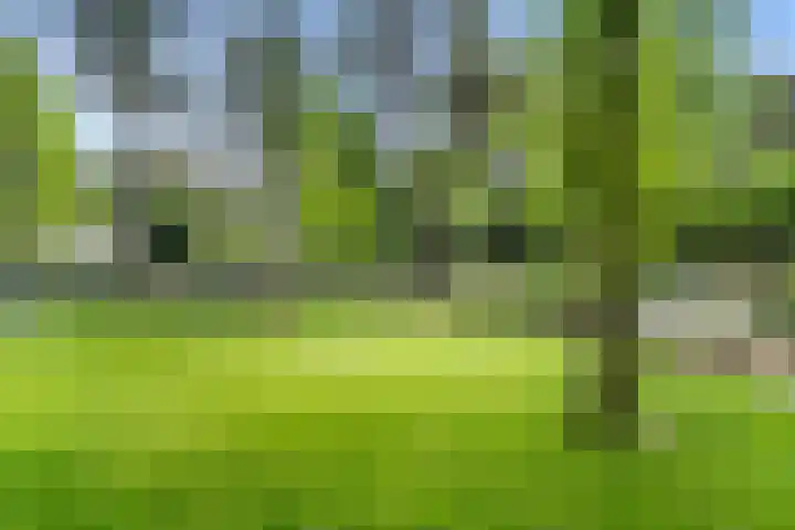 Sparrenbos 9 Wageningen thumbnail 4