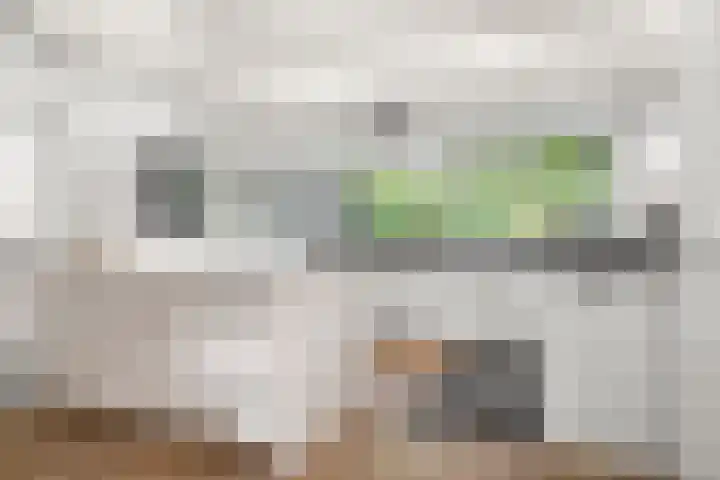 Sparrenbos 9 Wageningen thumbnail 45