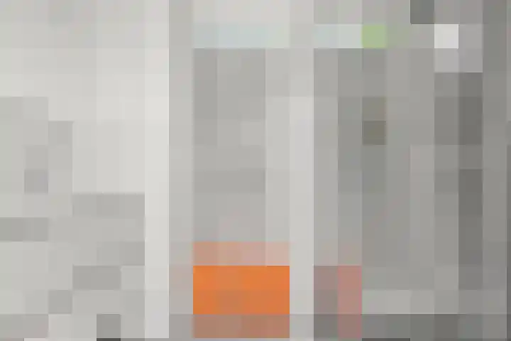 Sparrenbos 9 Wageningen thumbnail 52
