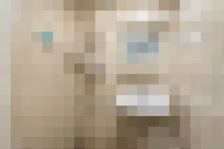 Sparrenbos 9 Wageningen thumbnail 56