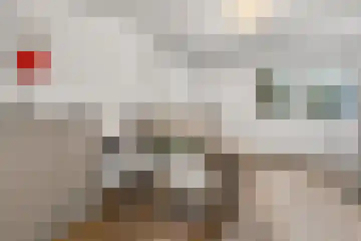 Sparrenbos 9 Wageningen thumbnail 58