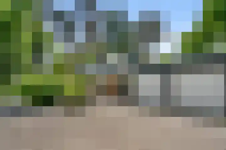 Sparrenbos 9 Wageningen thumbnail 6