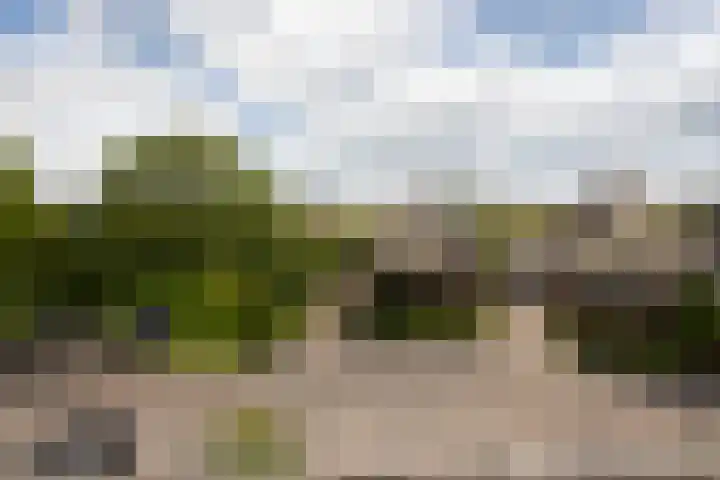 Sparrenburg 30 Bolsward thumbnail 43